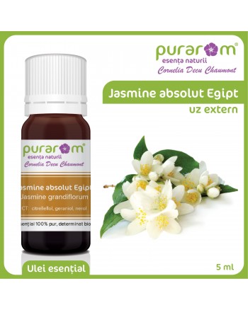 IASOMIE ABSOLUT EGIPT